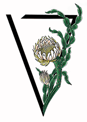 Vespertine Boutique V logo