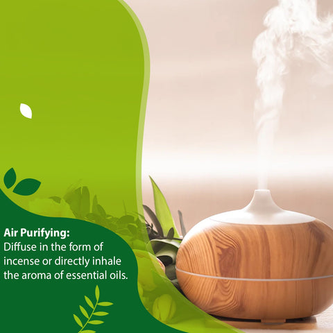 purify air with essential oils