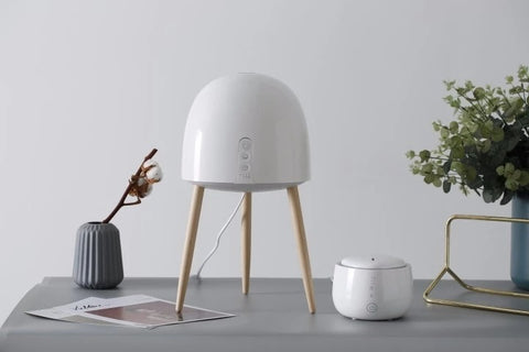 air humidifier and purifier