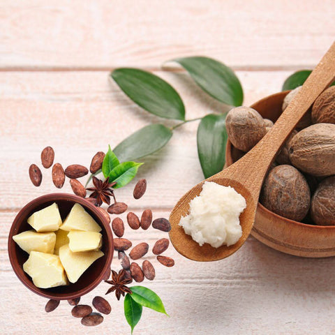 WHY SHEA BUTTER AND COCOA BUTTER ARE WINTER CARE ESSENTIALS?