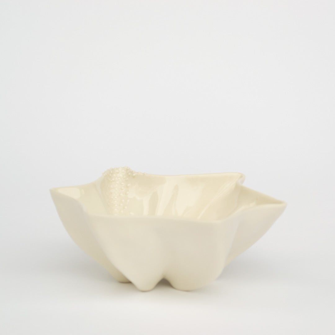 star series ceramic bowl