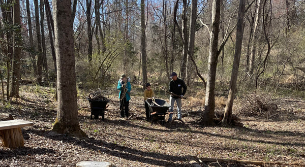 three people picking up branches in the woods