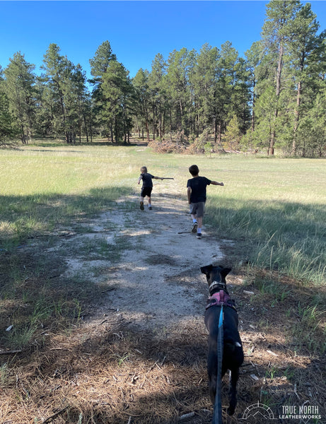 two boys and a dog hiking towards pine trees