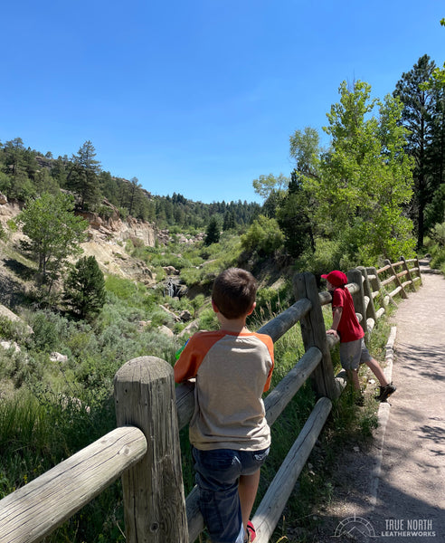 two boys looking at a waterfall while hiking