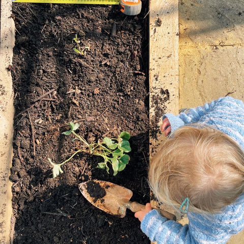 A child gardening