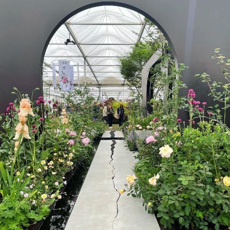 Stunning garden from Chelsea Flower Show 