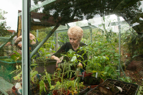 Lilian at work potting up in the Rhino greenhouse at Grapes Hill Community Garden