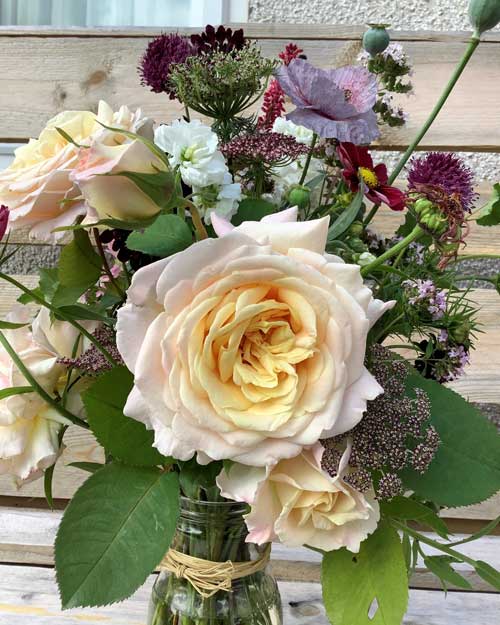 Bouquet of freshly cut flowers in glass jar. Large white rose getting yellow at the centre, with many other blooms behind