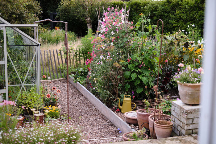 Jeska's garden at the end of the summer