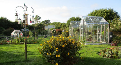 4 Rhino Greenhouses in a loyal customers garden