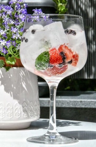 Gin and tonic with fruit and potted plant