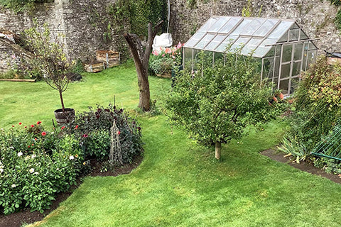 Rhino Greenhouse in Crickhowell, cottage garden