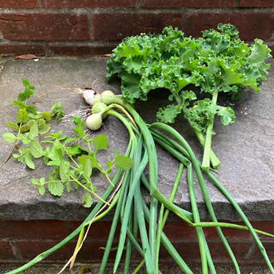 picked from the garden - kale, spring onions, lemon balm and mint