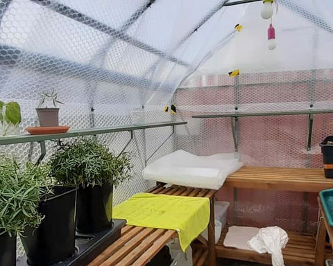 Greenhouse interior bubble wrapped