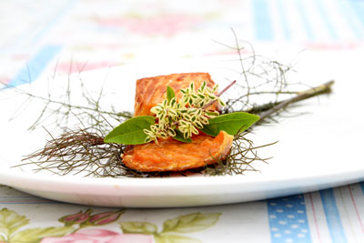 Salmon dish with fresh herbs and lemon thyme