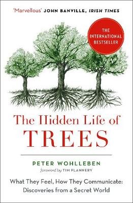 The Hidden Life of Trees book review