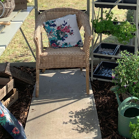 Wicker chair in Rhino Greenhouse