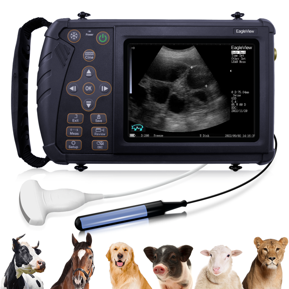 Portable Veterinary Ultrasound System for Pregnancy Testing in Equine,  Ovine, Swine, Canine, and Bovine. – Wellue