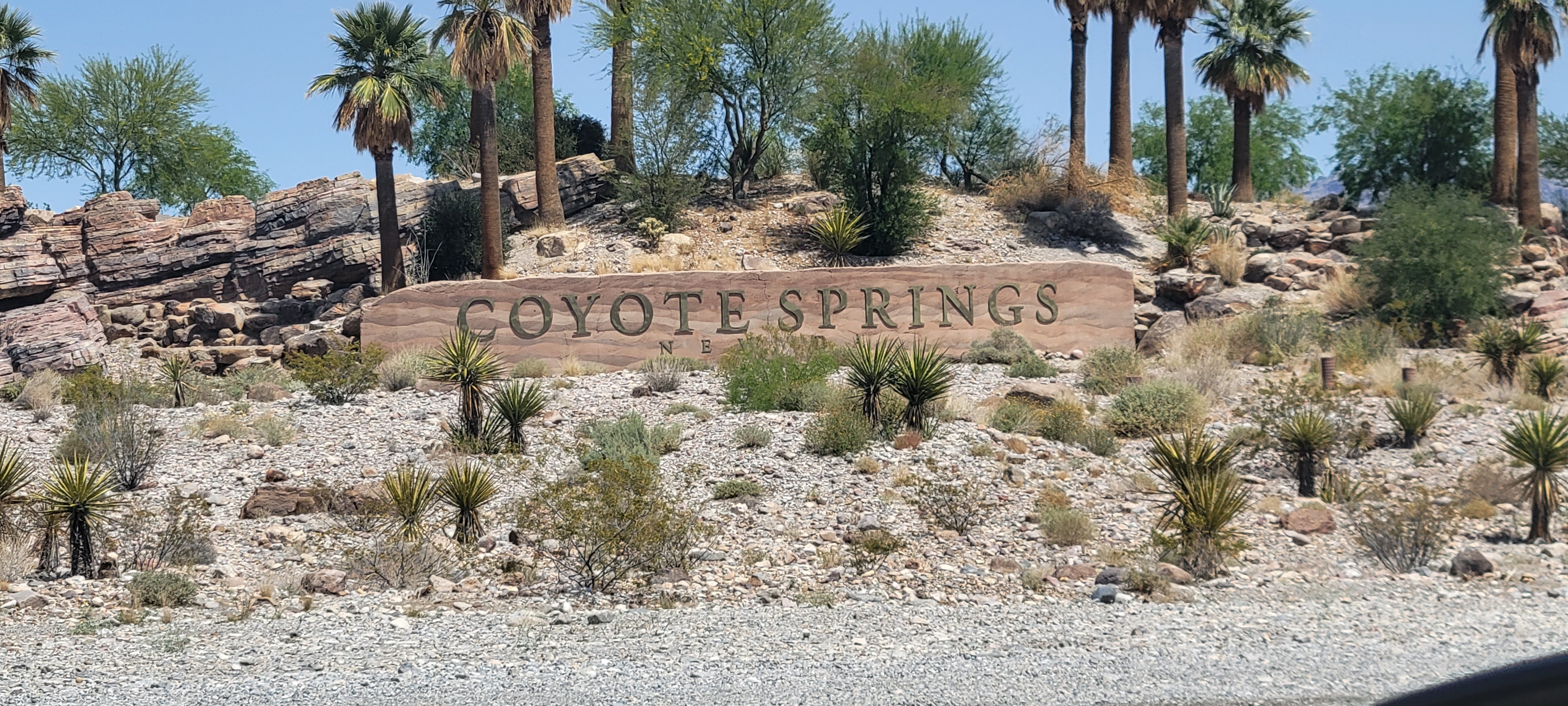 Coyote Springs