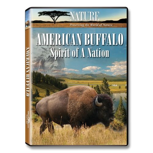 American Buffalo: Spirit