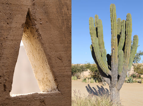 Desert Collage