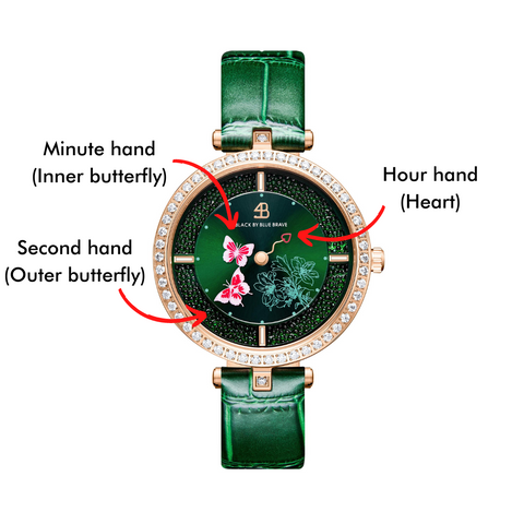 butterfly watch guide