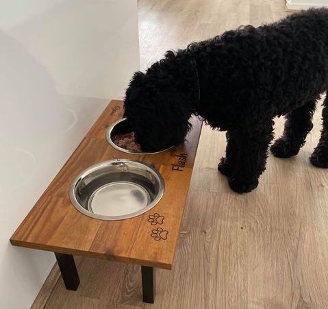 Tiny Dog Bowls, Small Dog, Teacup dog, feeding station – Ozarks