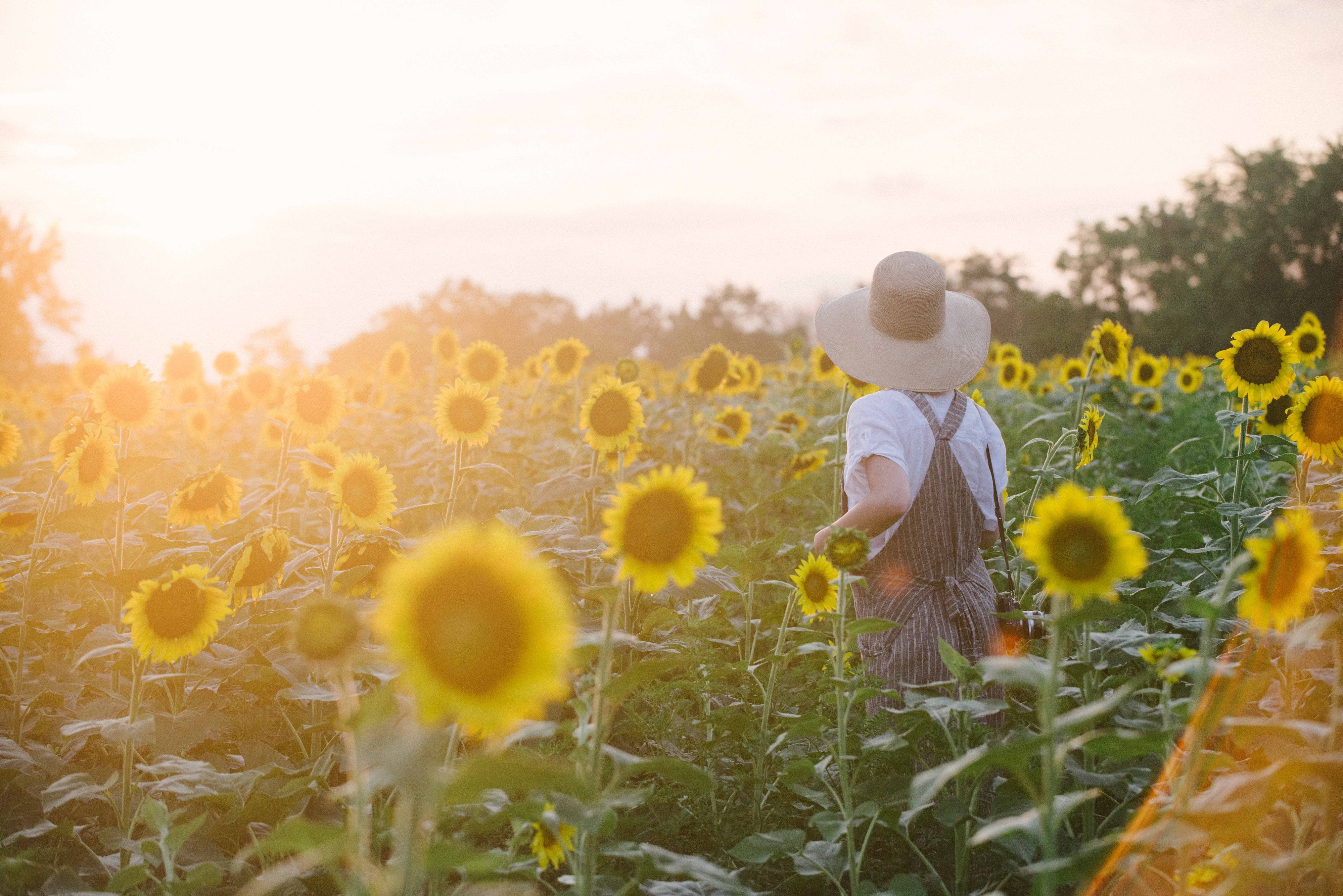 Lady Farmer Marketplace