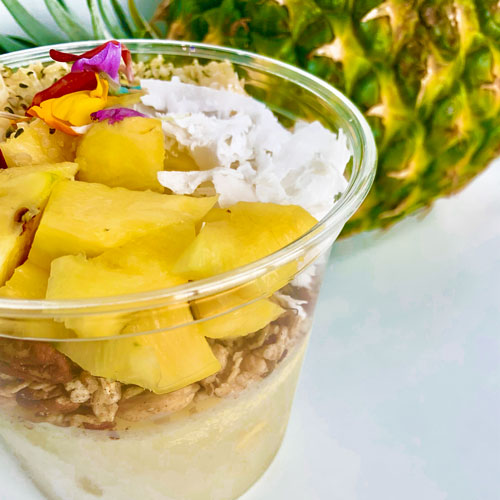 Pina Colada Smoothie Bowl – Urban Cravings Canada