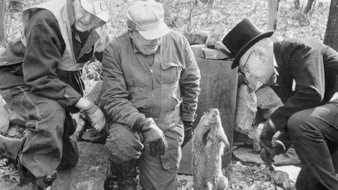 n 1973, Punxsutawney Phil delighted onlookers with his cuteness and disappointed them by predicting six more weeks of winter. Ground Hog Day with Green Living Supply, Garden, Gardening, Health and Wellness