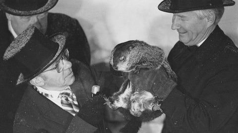  1985, Punxsutawney Phil saw his shadow and predicted six more weeks of winter. Ground Hog Day