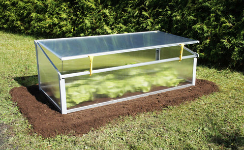 Year round cold frame garden with lettuce growing inside.  Made in Austria