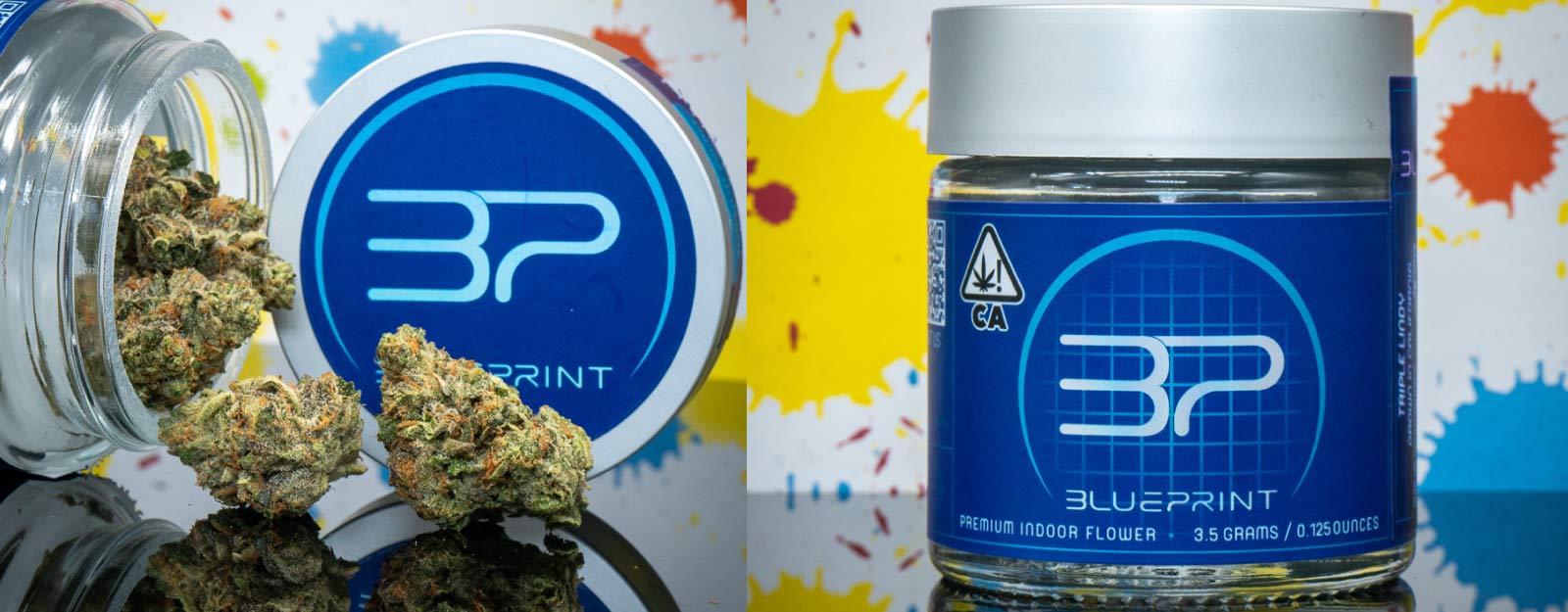 Blue Print: Triple Lindy Review | OG NATION Cannabis Dispensary