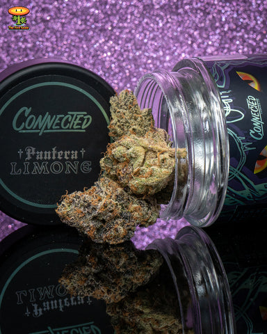 Connected Pantera Limone Cannabis Review Bonafide