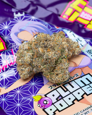 Super Dope Plum Popperz Teds Budz Los Angeles Cannabis Weed Review OG NATION