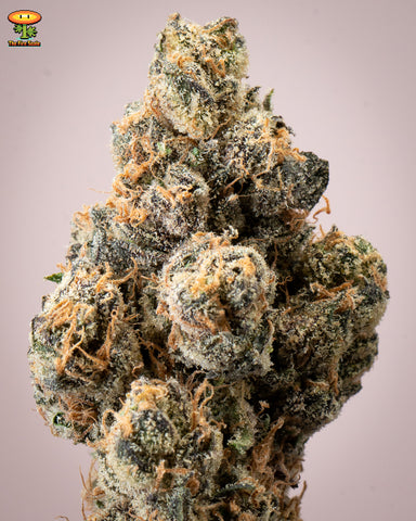 Super Dope Bubblegum Popperz Cannabis Review Bonafide Dispensary
