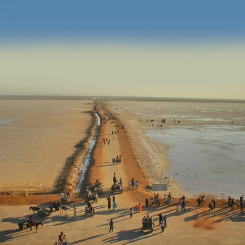 places to visit in gujarat - Rann of kutch