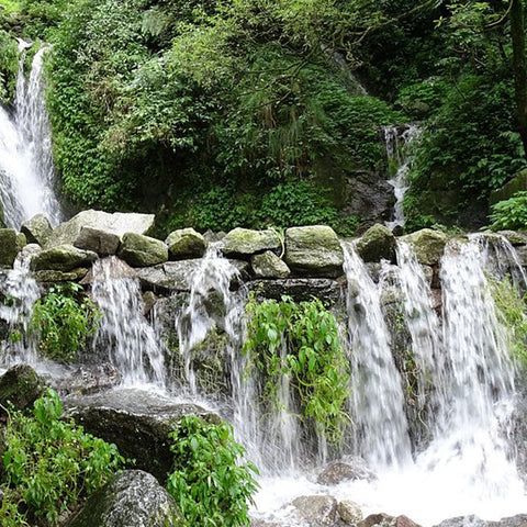 places to visit in Dalhousie - Satdhara falls
