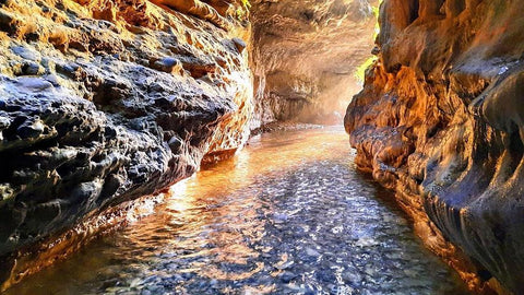 Top 10 places to visit in Dehradun - Robber’s Cave