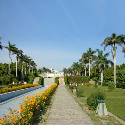 places to visit in chandigarh - Botanical garden