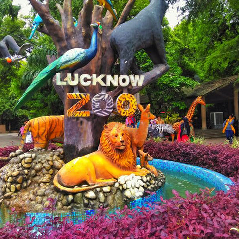 best places to visit in lucknow - Lucknow zoo