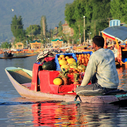places to visit in srinagar - A man on a boat selling different fruits