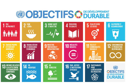 Objectifs développement durable ONU