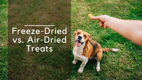 Freeze dried treats versus air dried treats whats better