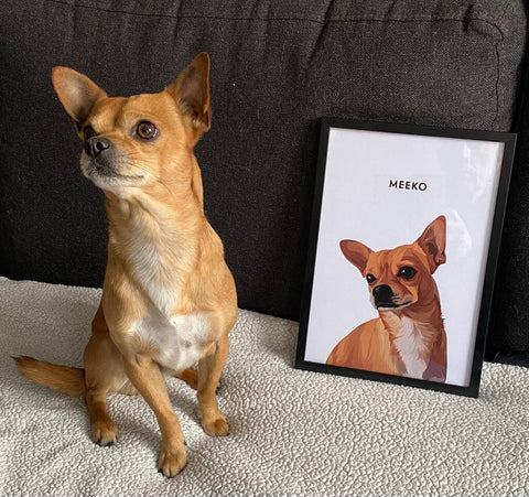 Huisdier portret van Meeko de hond - The Stylish Pet Shop
