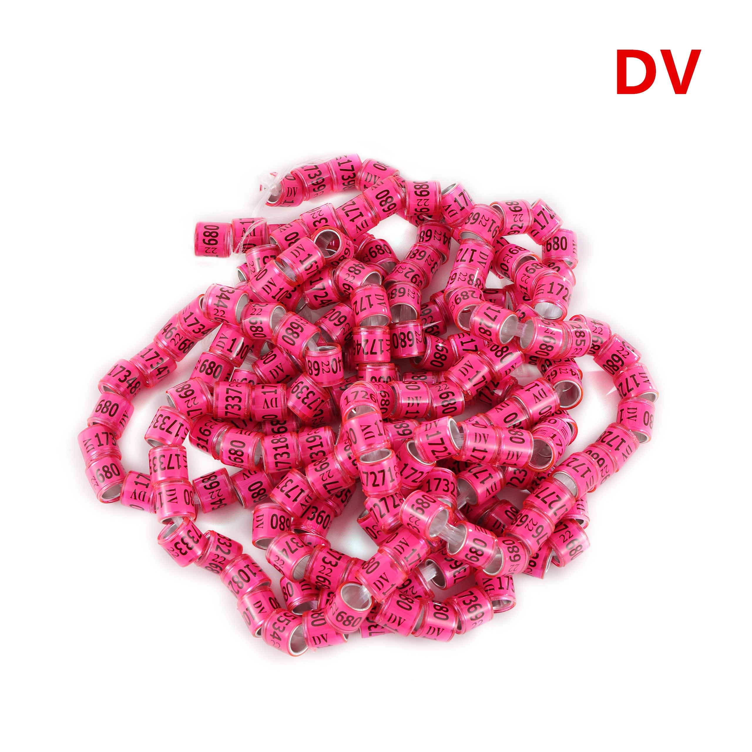 50 Pcs 2022 Multicolor Pigeon Foot Ring With Word Earrings Quality Durable Bird Ring Racing Pigeon F