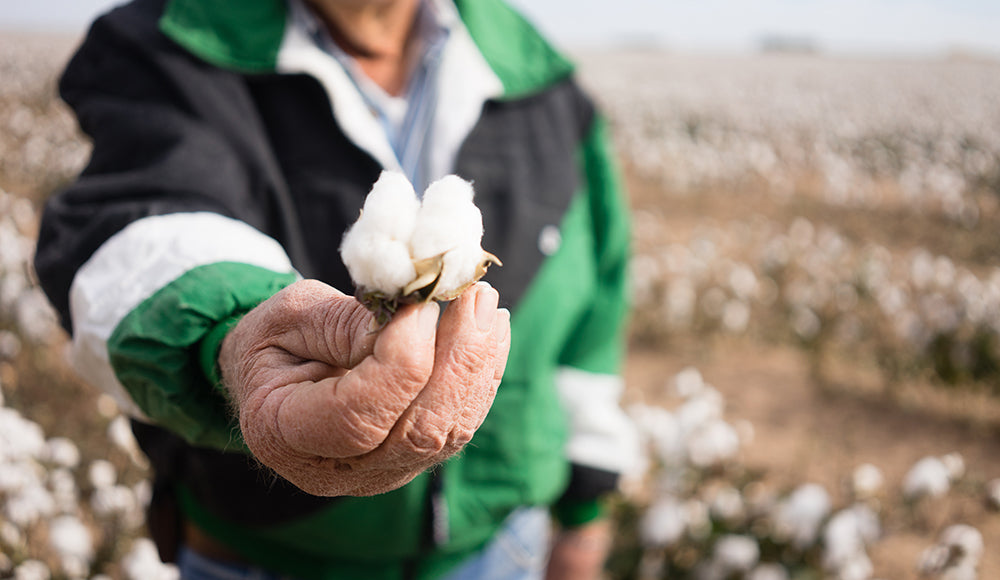 Man Holding Cotton