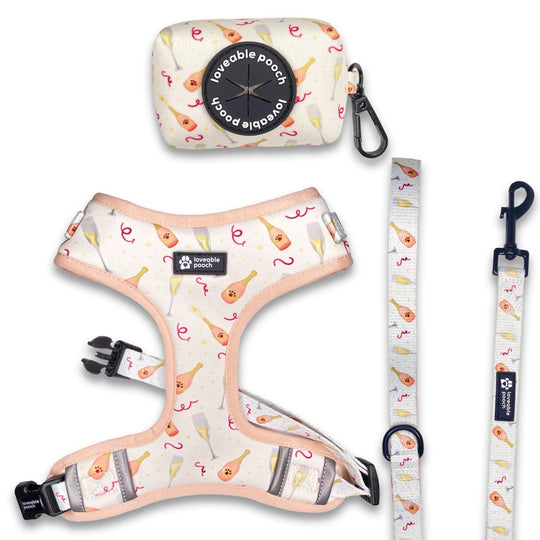 Comfy Cozy Pooch - Quality Dog Gear and Accessories