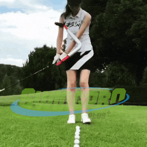 Swing Pro Plus - Golf Swing Posture Corrector Training Aid