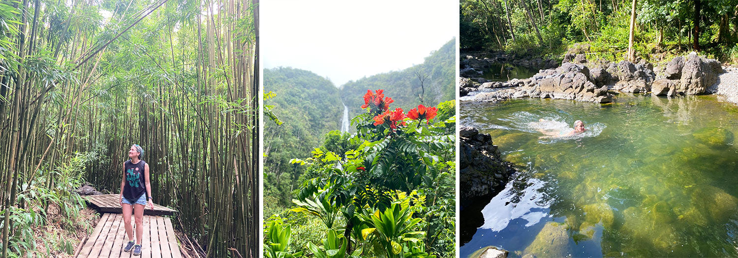 road to hana pipiwai trail in maui